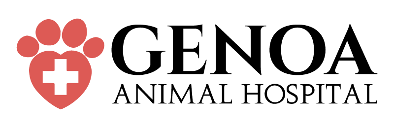 company