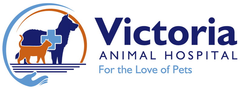 Victoria Animal Hospital | Best Veterinary Care in CA | 2