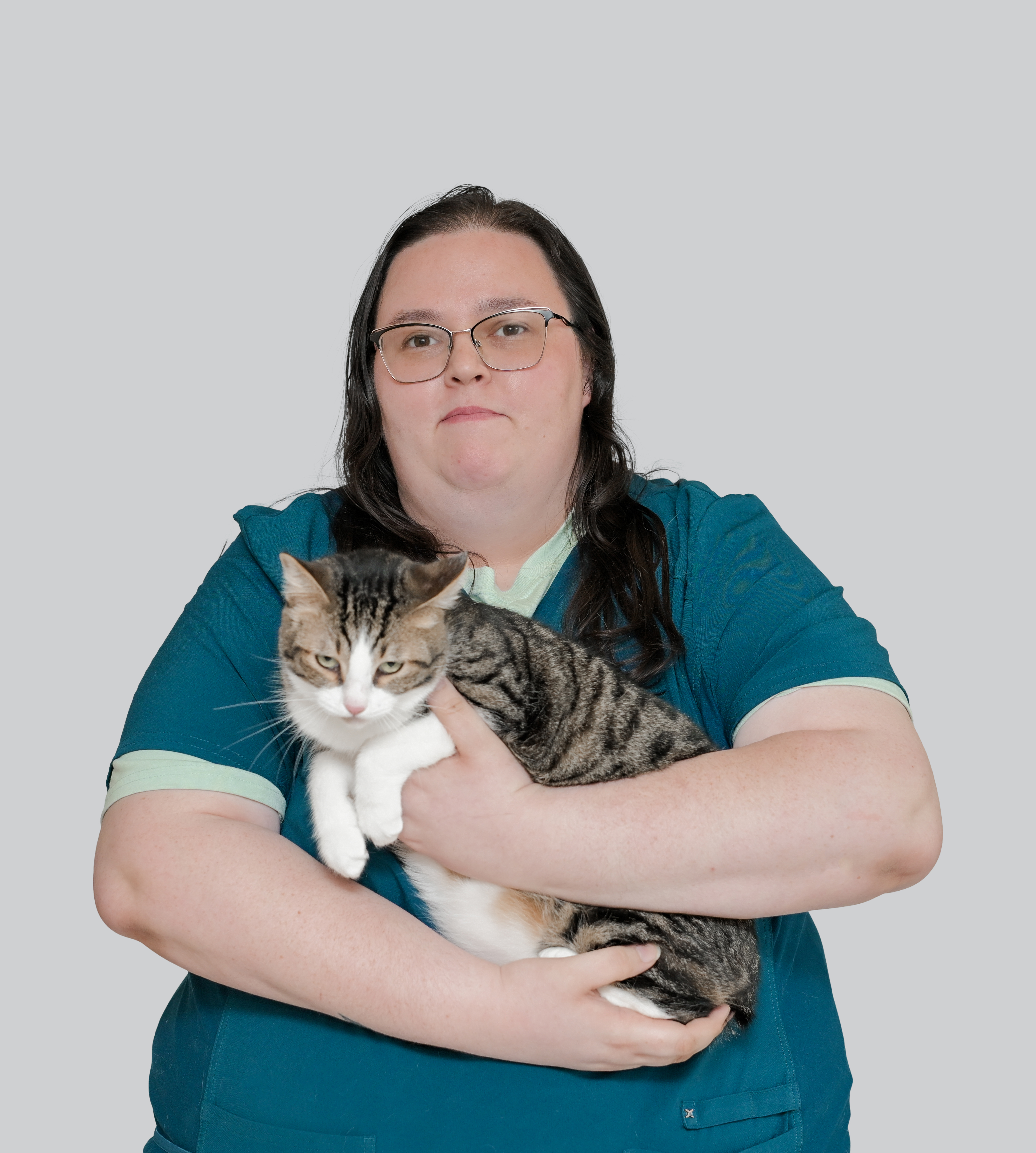 About Animal Dermatology South | Trusted Veterinary Clini