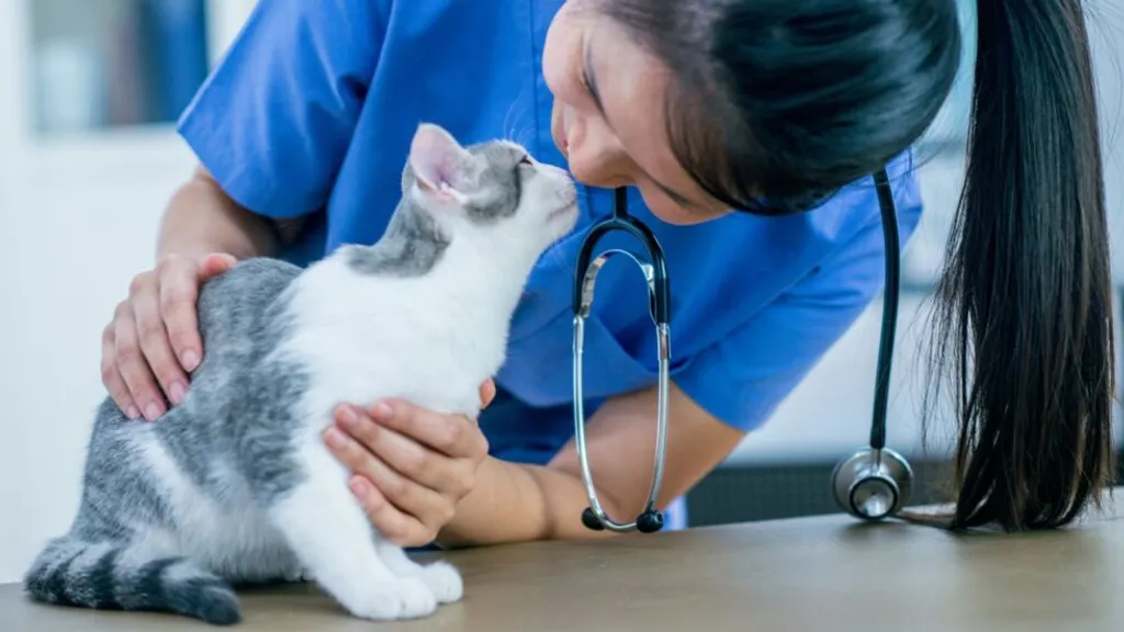 The Crucial Role of Anesthesia in Veterinary Dental Care