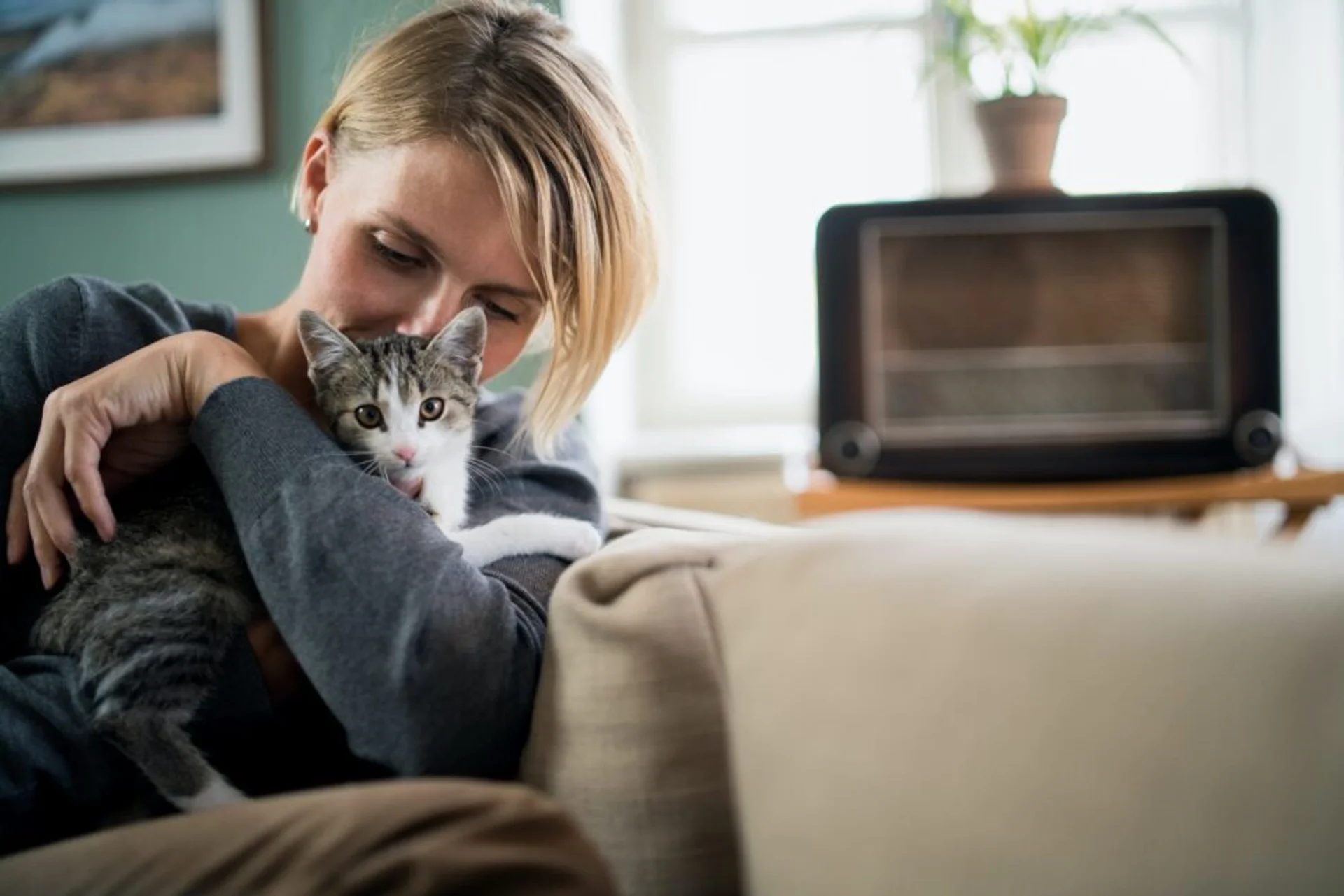 Caring for Your Anxious Pet: 5 Essential Steps to Provide Comfort and Support