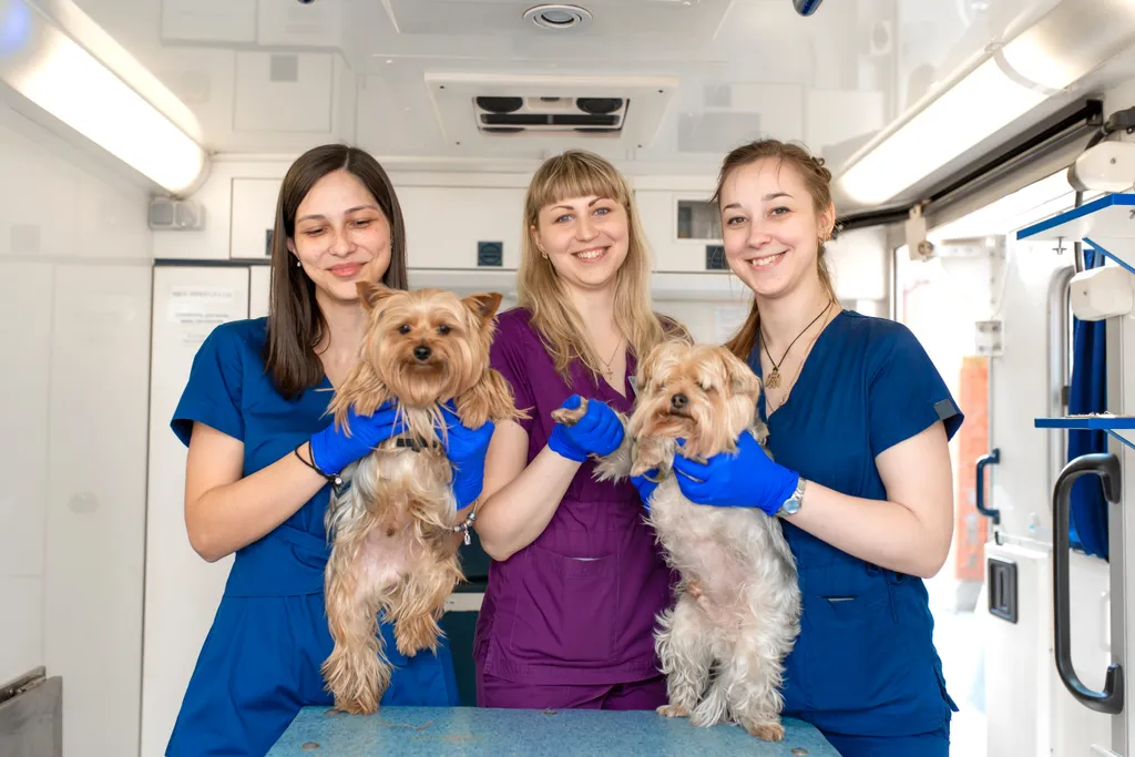 About Okatie Veterinary Center