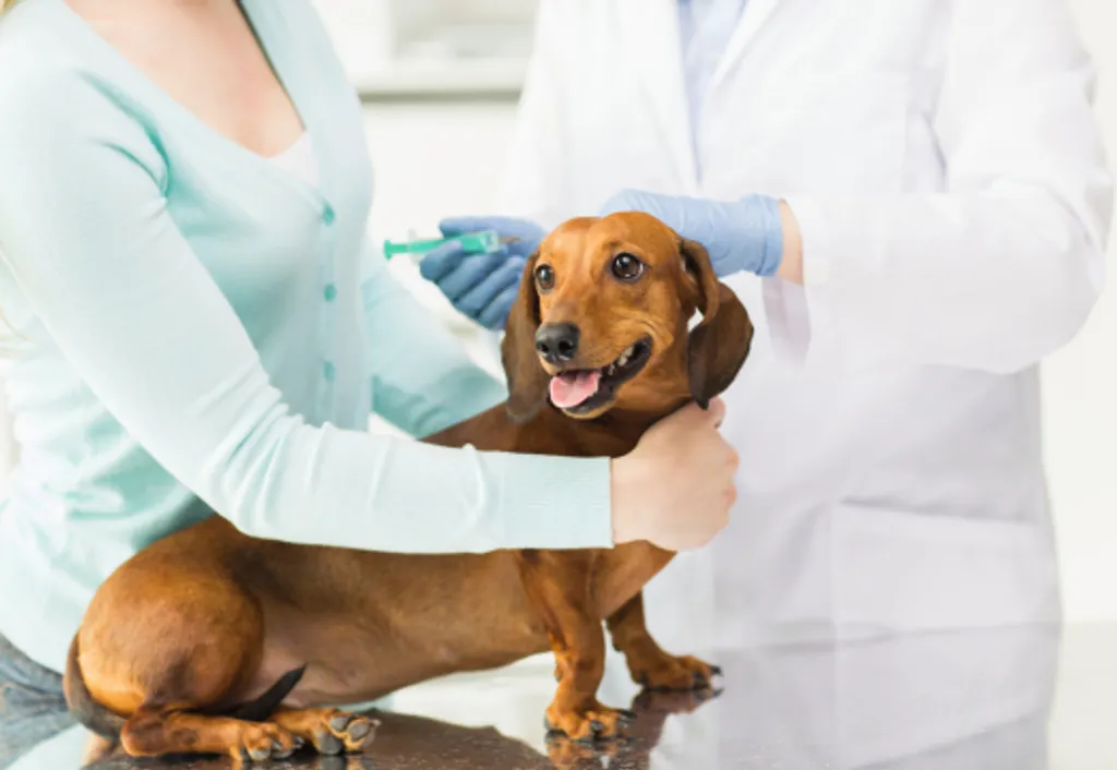 Vaccinations