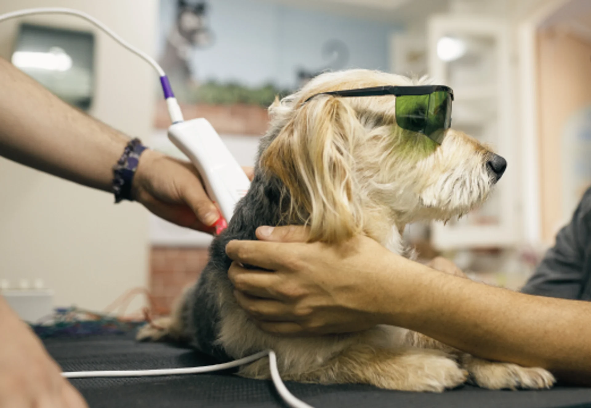 Laser Therapy