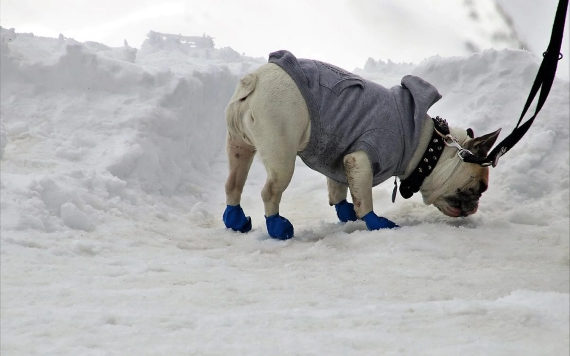 Cold Weather Safety Tips