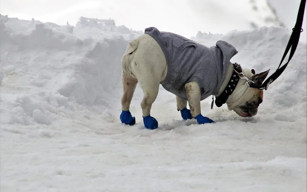 Cold Weather Safety Tips