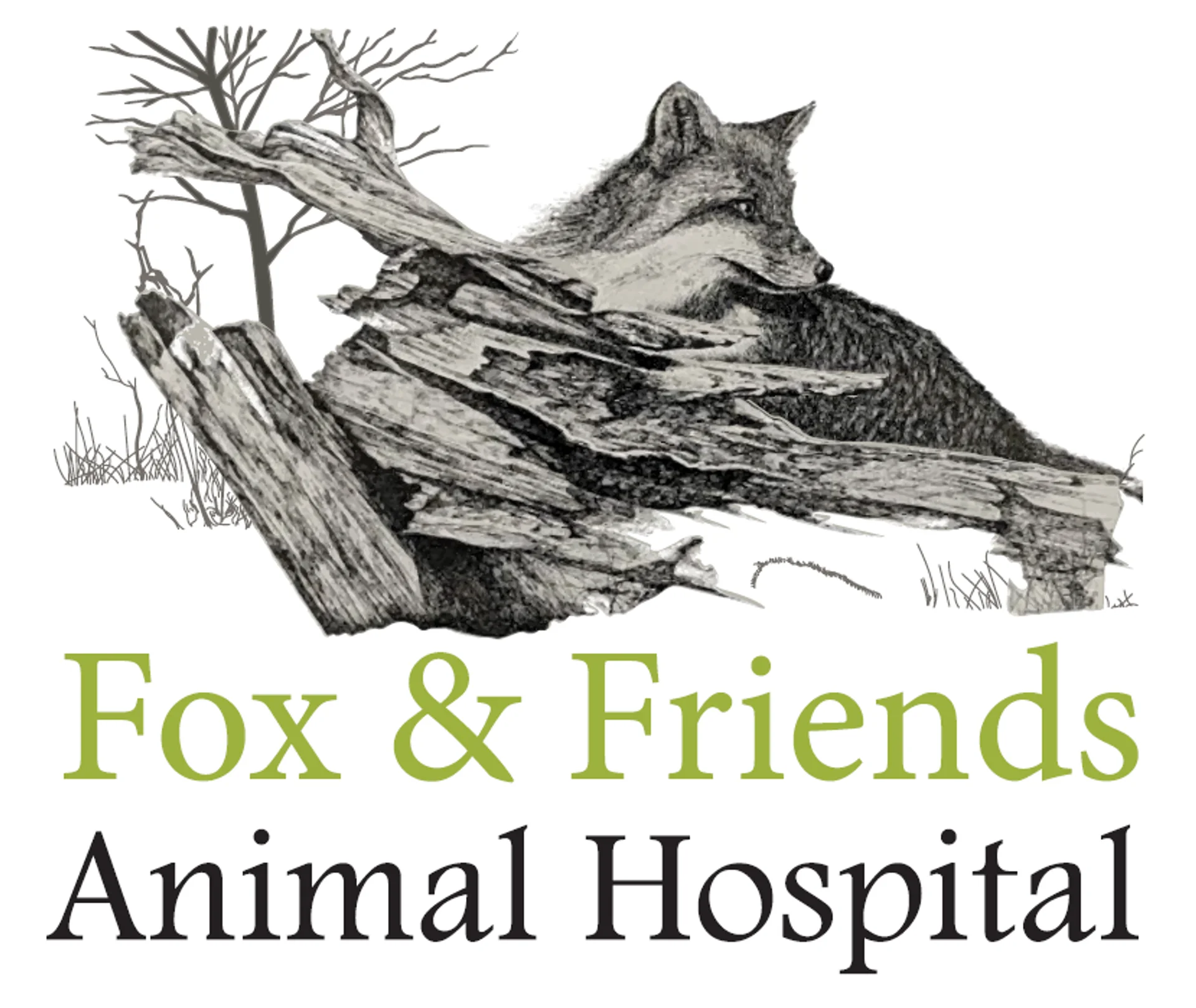 site-logo