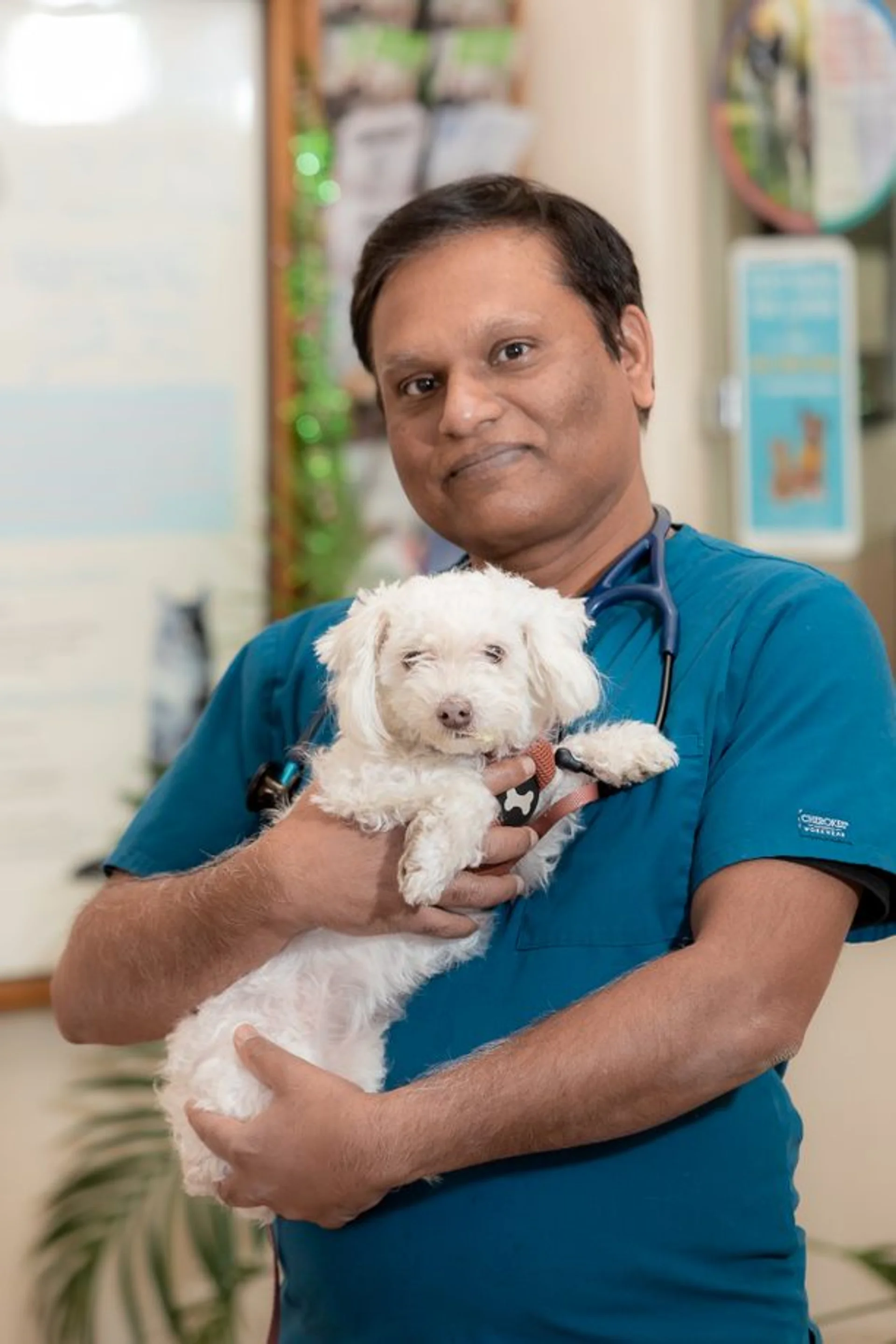 Dr. Simbu