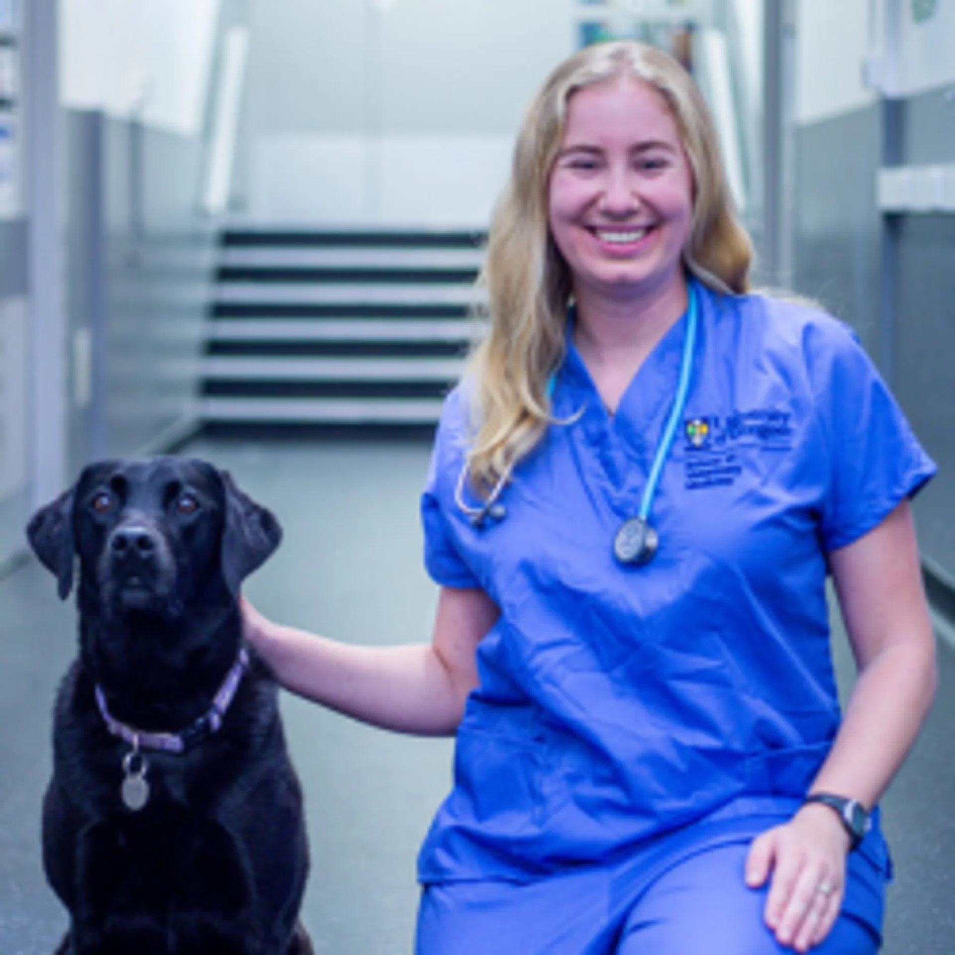 Dr. Kristina Collins