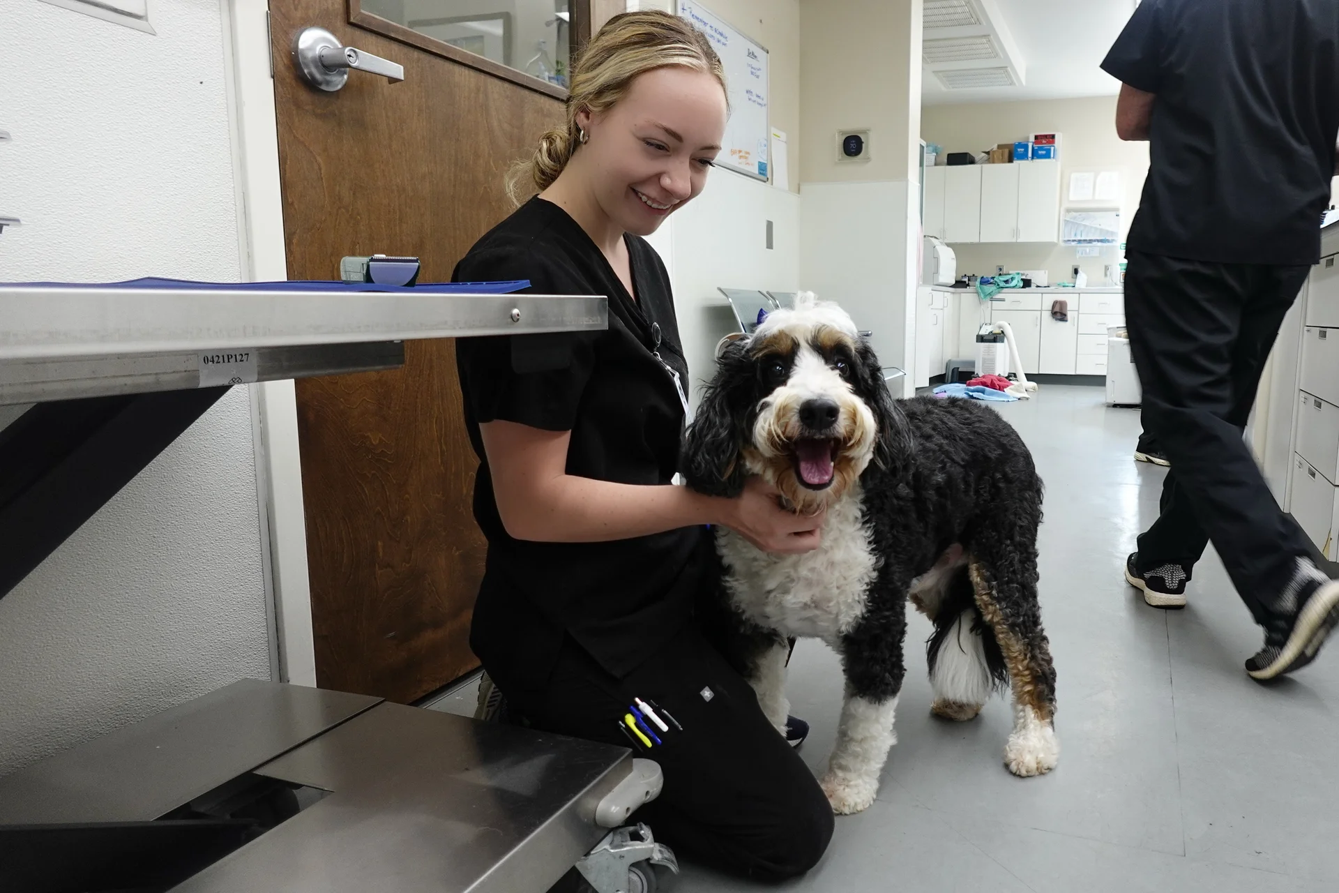 Pet Laboratory