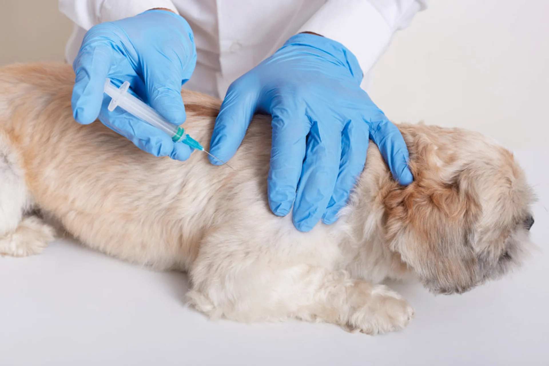 Information About Vaccines